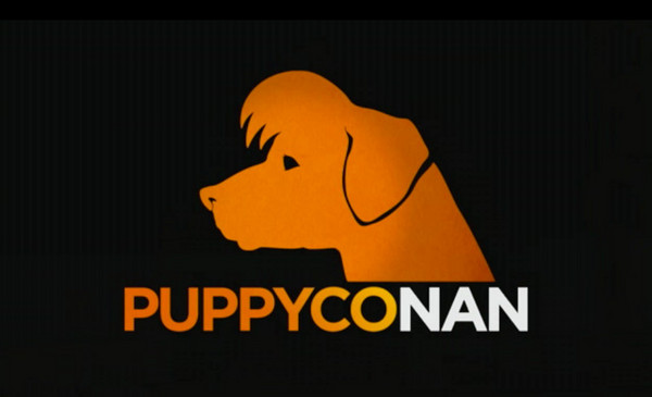 puppy.jpg