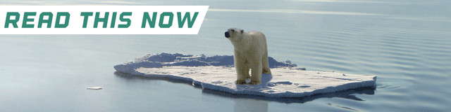 polarbearheader.jpg