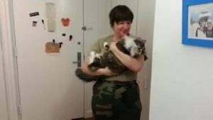 Cats Welcoming Home Soldiers