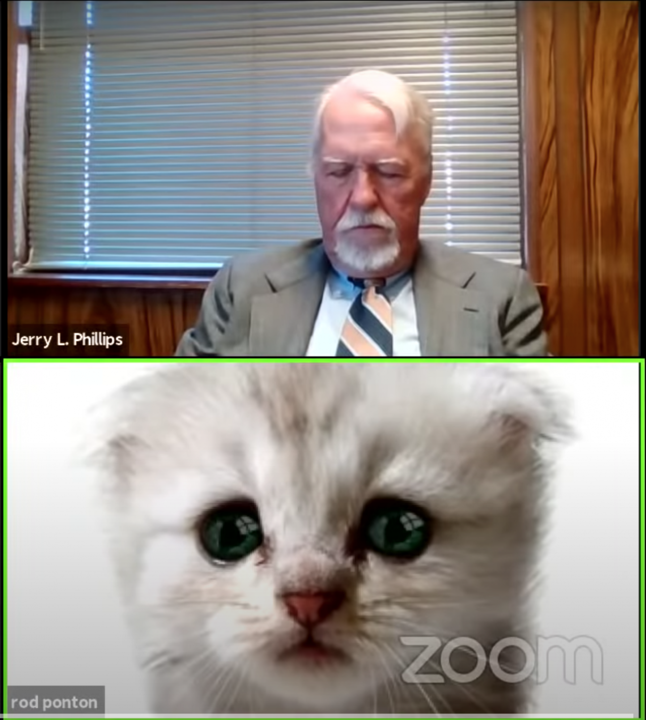 Lawyer Accidentally Turns Cat Filter On During Virtual Court Funny Or Die